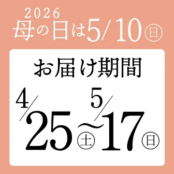 【送料込み】母の日・冷蔵惣菜セット