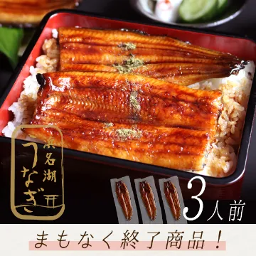冷凍便【送料込み】浜名湖産うなぎ蒲焼３尾