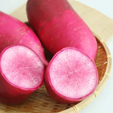 知久屋農園赤大根の塩糀漬