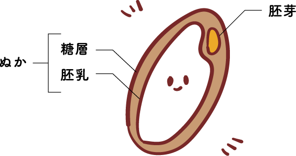 知久屋玄米パン|おこめ