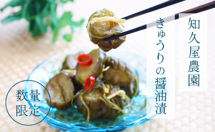 知久屋農園きゅうりの醤油漬
