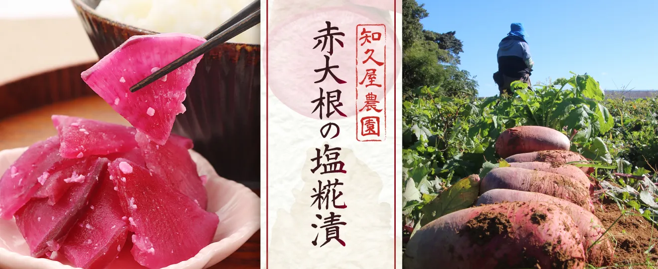 知久屋農園赤大根の塩糀漬