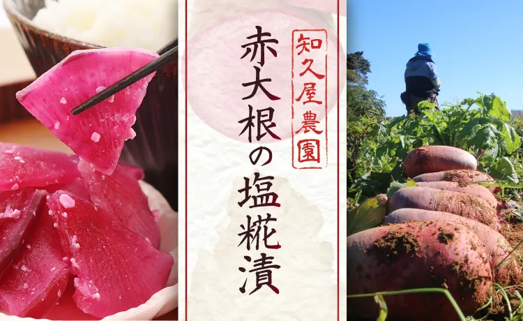 知久屋農園赤大根の塩糀漬