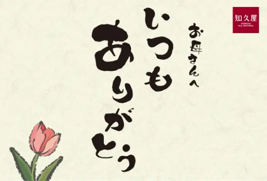 和柄カーネーション