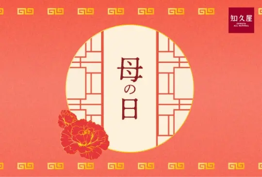 写真カーネーション